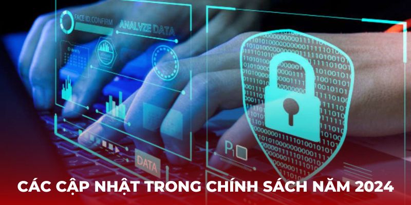 Các cập nhật được ban hành trong chính sách áp dụng năm 2024